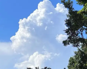 鞍山天气预报,鞍山7天天气预报,鞍山15天天气预报,鞍山天气查询